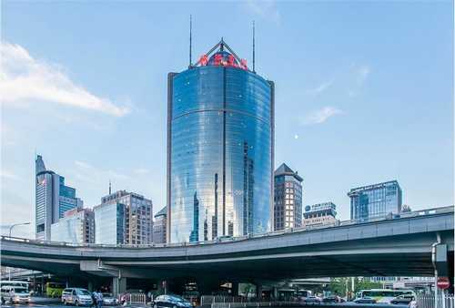 上海绿色黄花菜要多少钱