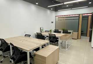 广东景观草坪报价