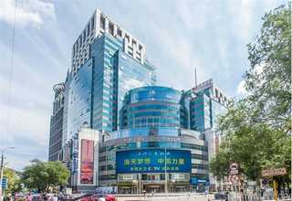 上海林艺苗木销售厂家