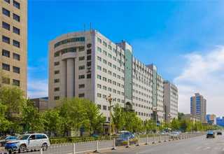 六石镇绿色木材高温热处理生产