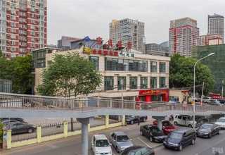 江苏名师古琴课程