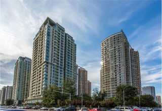 山西农用硫酸铵