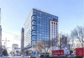 广州买鱼胶批发商家