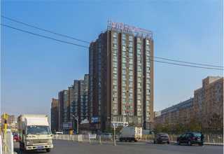 常州白松模板电话