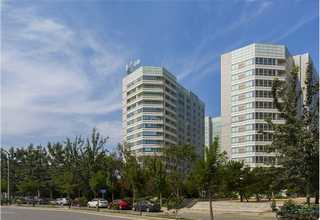 河南连续镀高速镀银添加剂要多少钱